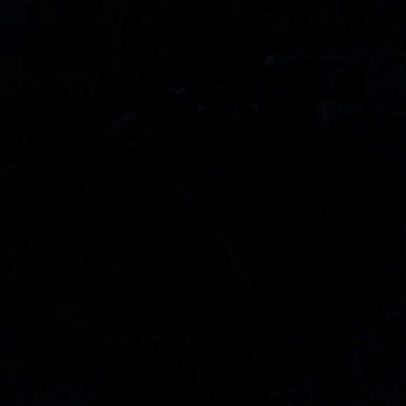 Meet your Posher, Timothy - Picture 1 of 1